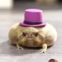 La Magnifica Sexolandia Discord server icon