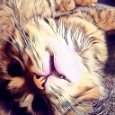 Сервер big_star.cat