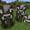 BoxInPVP Official