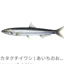 せなのラブホテル❤