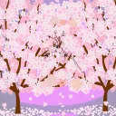 💮crystal sakura