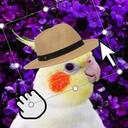 Imageholic Discord Server Icon