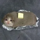 Buttered Cat's Palace