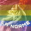 La Norme-UdeM