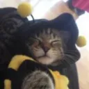 🐝Toni's Bee Hive🐝