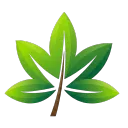 LeafStudios