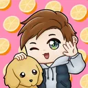 Sanberg Server