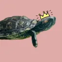 I LIKE TURTLES 🐢