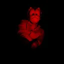 ANBU 'SLATT' OPPS
