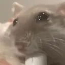 fart