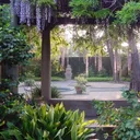 scripps