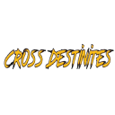 Cross Destinies(RunBack) (A StickNodes Videogame)