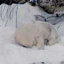 grindr for kids