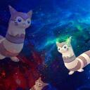The furret kingdom Discord Server Icon