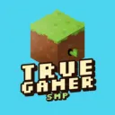 True Gamer SMP