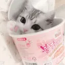 Hachi's Server