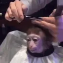 nnnnnnnn