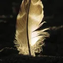 Divine Serenity
