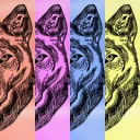 The Wolfpack