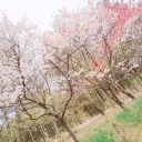 沼男は誰だ？