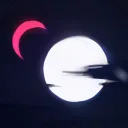 ₊˚✦LUNAR FOREST✦˚₊