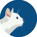 A-Cat Shrine Server Icon