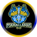 PjamaLlamas