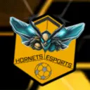 Hornets Esports