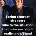 Silly Goose Gaming