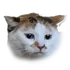 ItsBossTime