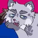 Simmer's Warrior Cats Rewites