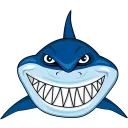Momentum Sharks