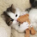 quit