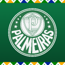 Discovery icon for SE Palmeiras Discord server