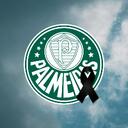 Palmeiras • Eterno Lito icon