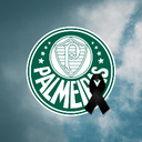 Ícone do servidor Palmeiras • Eterno Lito