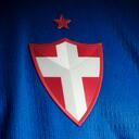 Palmeiras icon
