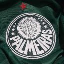 Discovery icon for Palmeiras Discord server