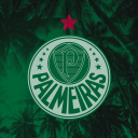 Discovery icon for SE Palmeiras • TRADIÇÃO Discord server