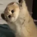 夜夜笙歌Zz( -ω- )