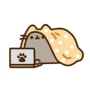 *cute things go here*
