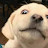 ~TONY'S HAVEN~ - discord server icon