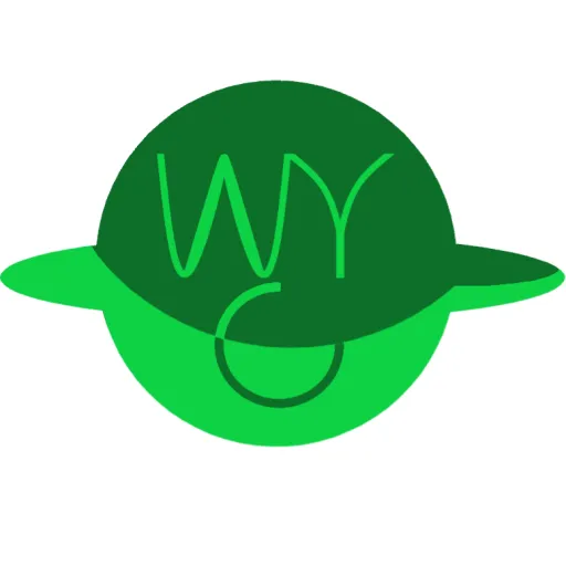WyCraft — мониторинг Discord сервера, статистика и рейтинг