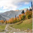 The Valley