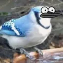 stick