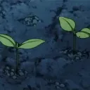 SAPLING FAMILY