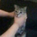 greens dungeonãƒ»nitro gw Server Icon