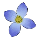 AllyBluet Streaming!