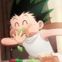 Gon gordo