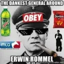 hoi4 gang